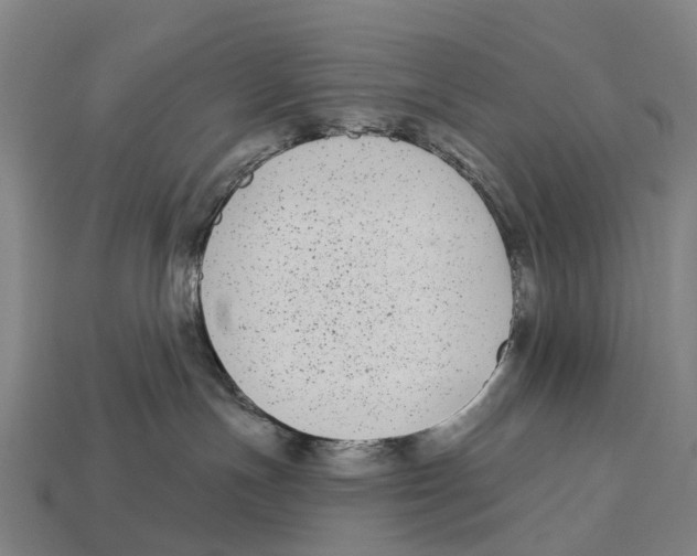 X0000113100191200909251039