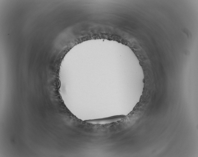 X0000113100192200909251039