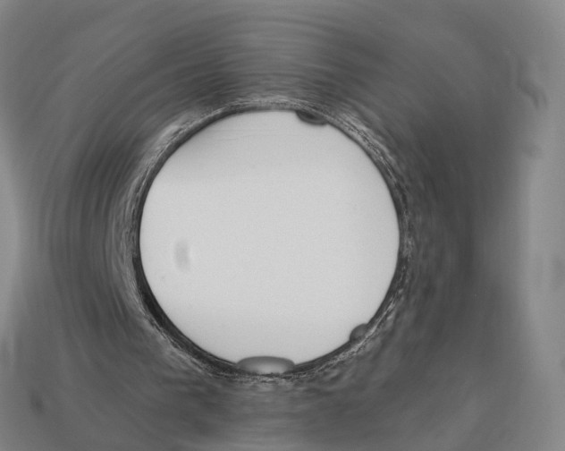 X0000113100193200909251038