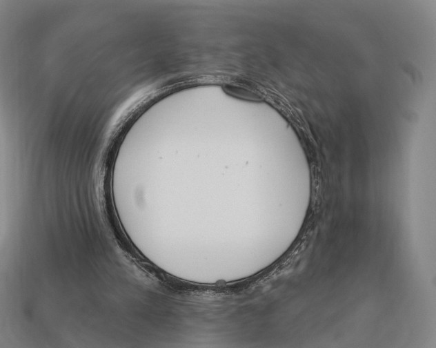 X0000113100197200909251038