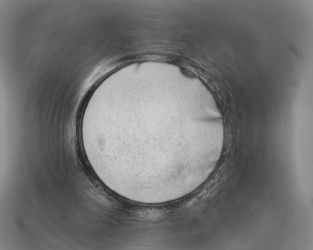 X0000113100198200909251038