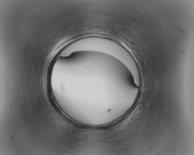 X0000113100199200909251038