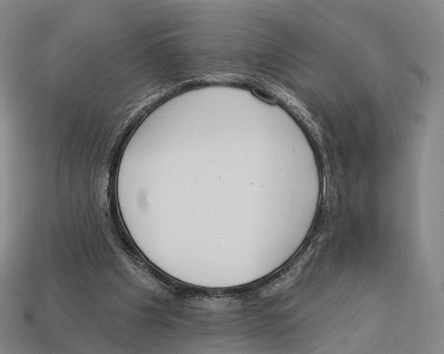 X0000113100201200909251038