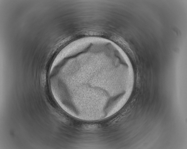 X0000113100202200909251038