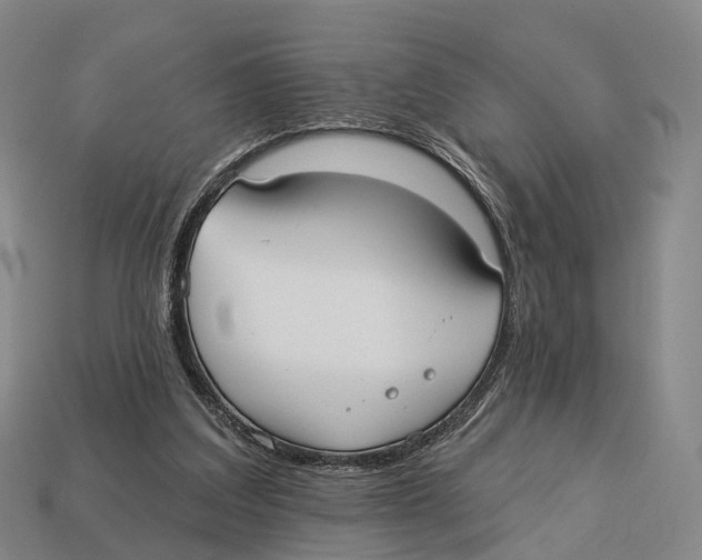 X0000113100203200909251038