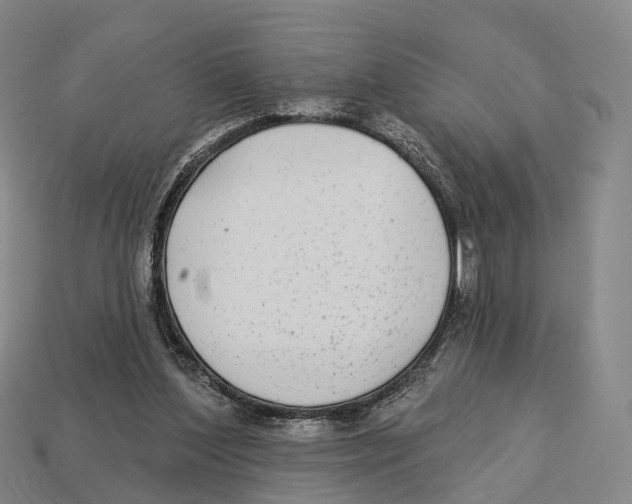 X0000113100204200909251038