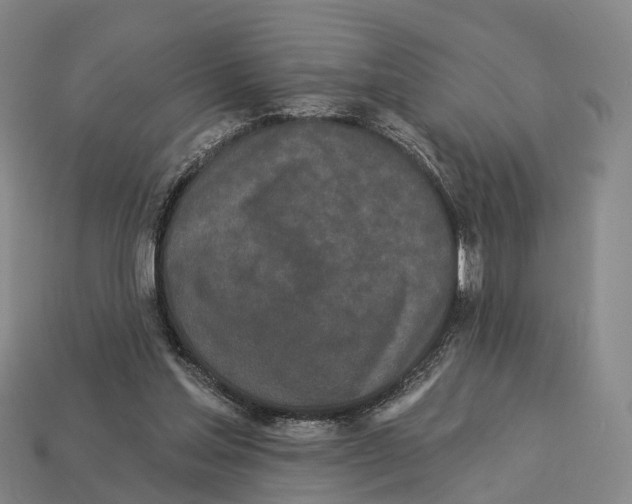 X0000113100205200909251038