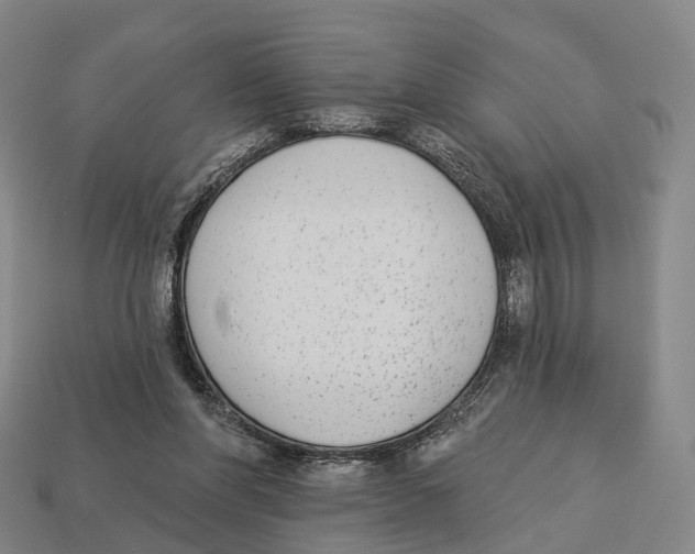 X0000113100206200909251038