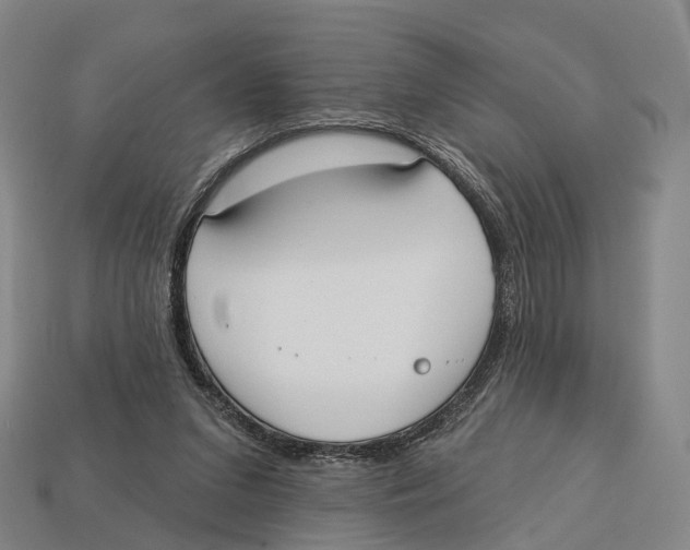 X0000113100207200909251038