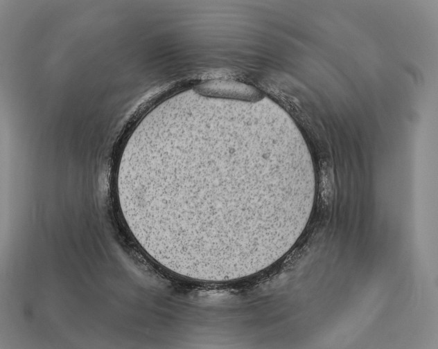 X0000113100208200909251038