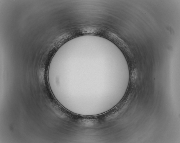 X0000113100209200909251038