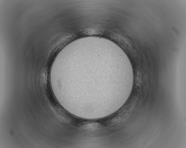 X0000113100210200909251038