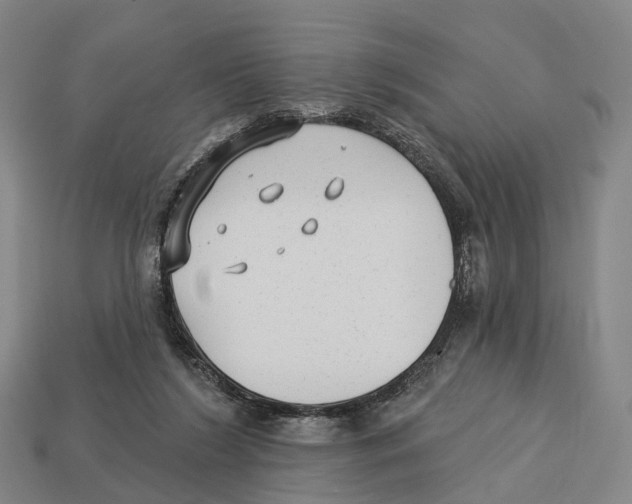 X0000113100212200909251038