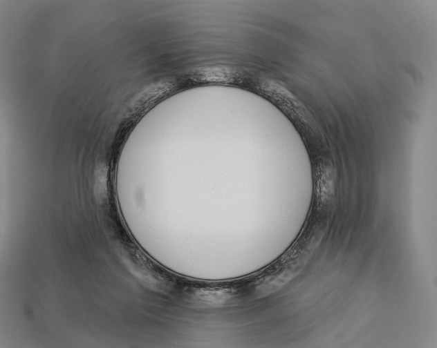 X0000113100213200909251038