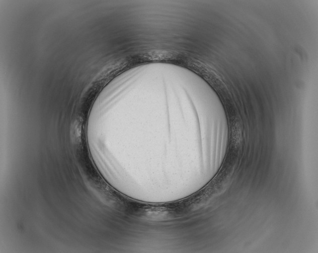 X0000113100214200909251038
