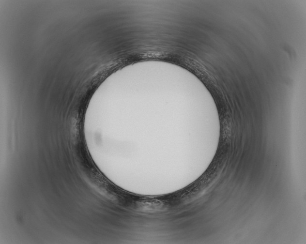 X0000113100215200909251038