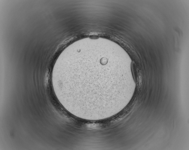 X0000113100216200909251038