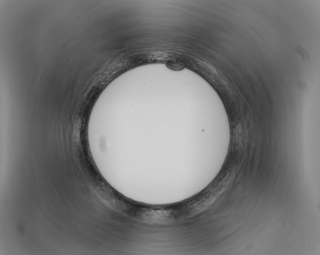 X0000113100217200909251038