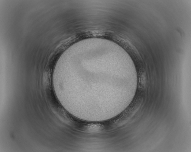 X0000113100218200909251038