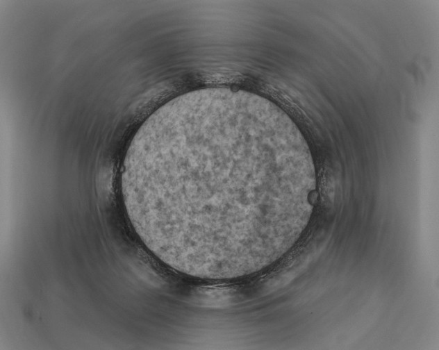 X0000113100219200909251038