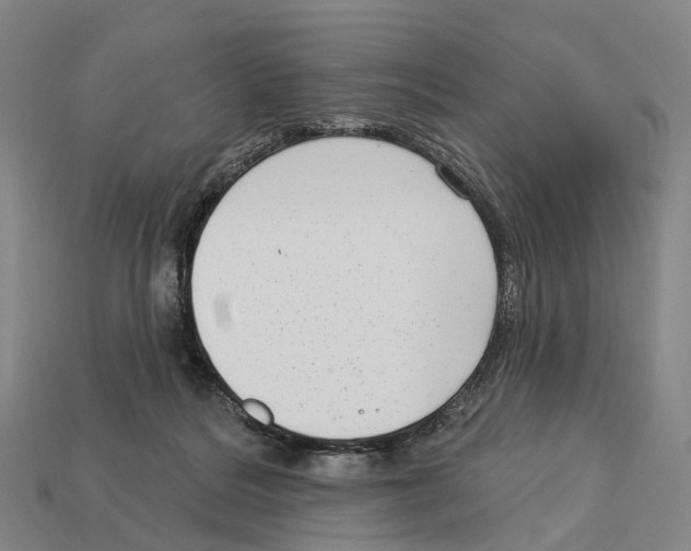 X0000113100220200909251038