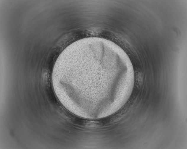 X0000113100222200909251038