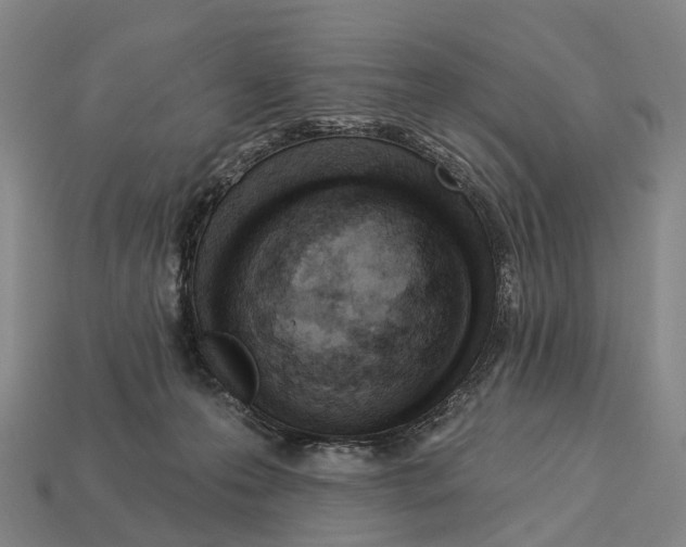 X0000113100223200909251038