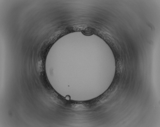 X0000113100224200909251038