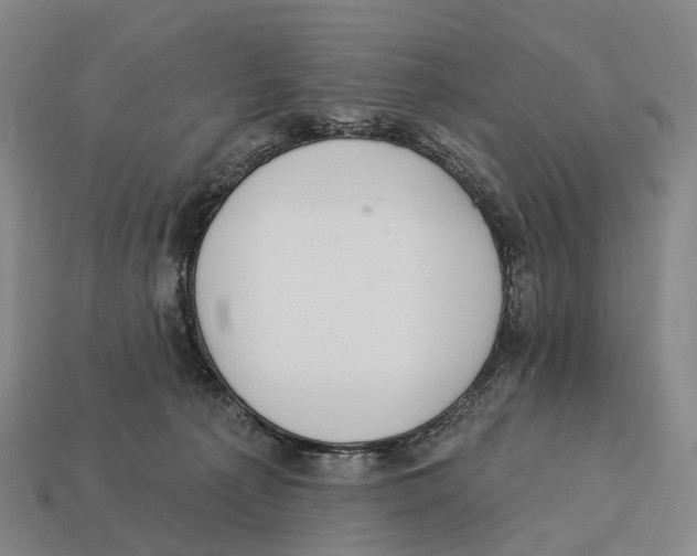 X0000113100225200909251038