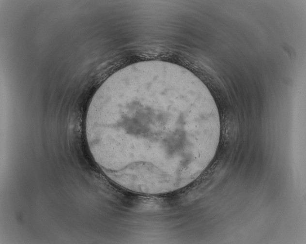 X0000113100226200909251038