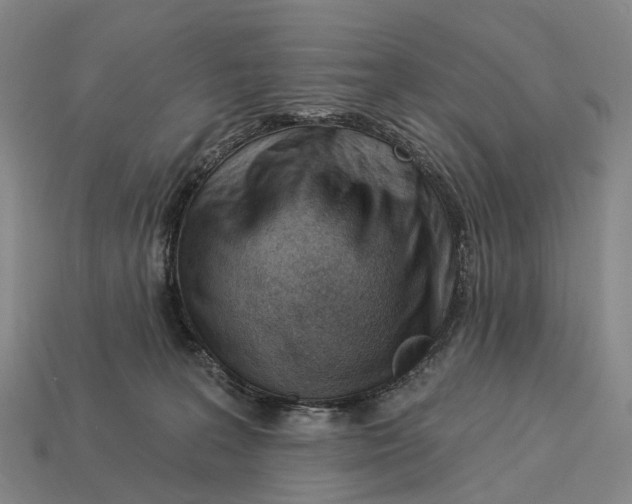X0000113100227200909251038