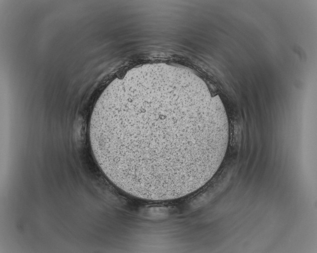 X0000113100228200909251038