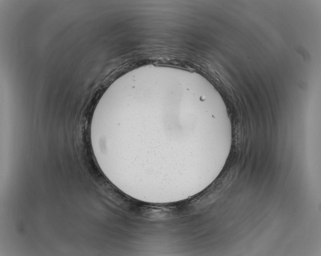 X0000113100229200909251038