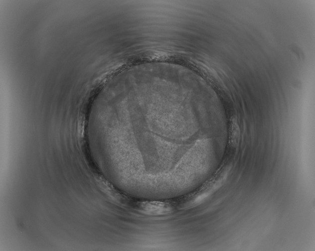 X0000113100230200909251038