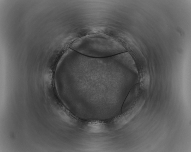X0000113100231200909251038