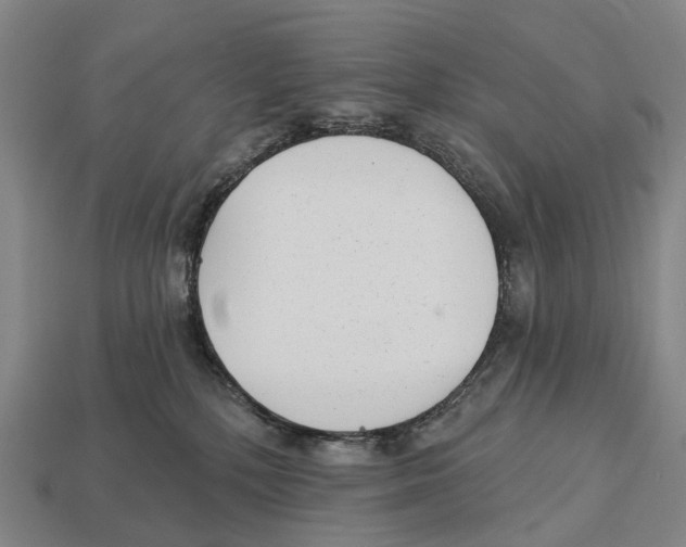 X0000113100232200909251038
