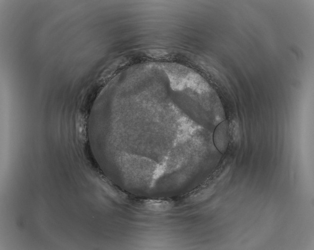 X0000113100234200909251038