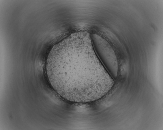 X0000113100235200909251038