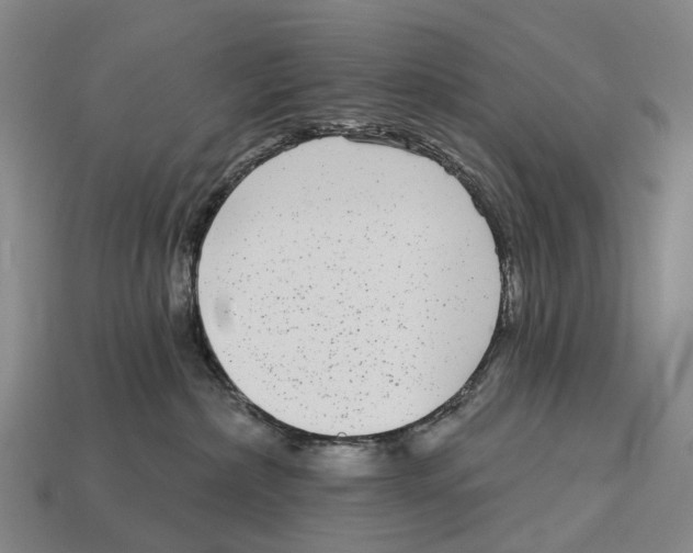 X0000113100236200909251038