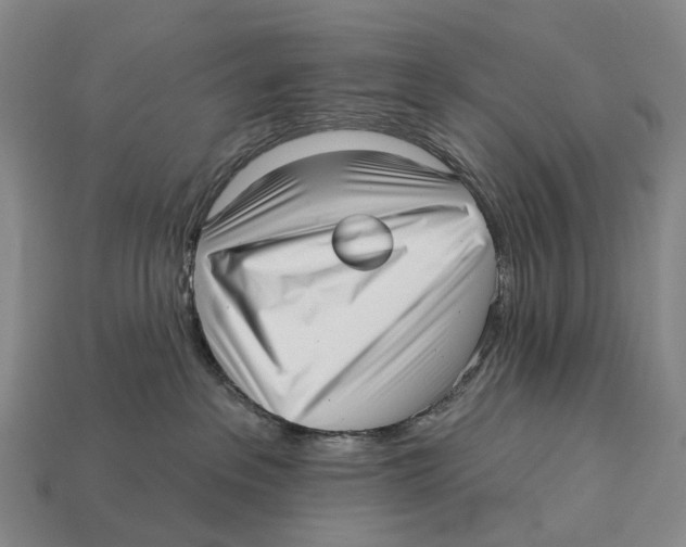X0000113100237200909251038
