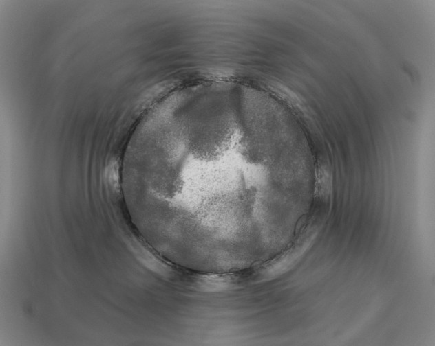 X0000113100238200909251038