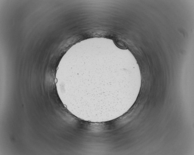 X0000113100240200909251037