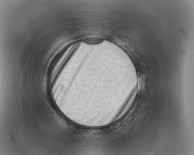 X0000113100243200909251037