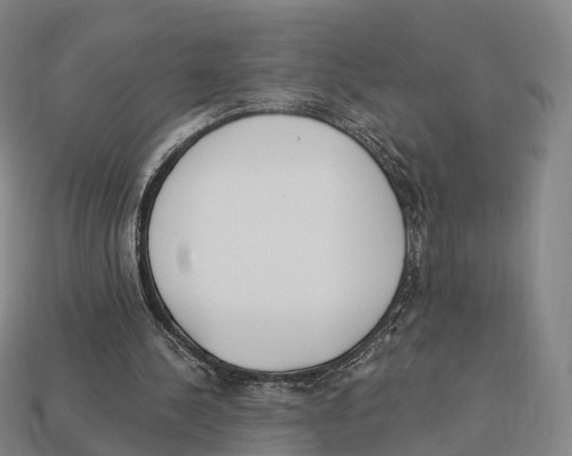 X0000113100244200909251037