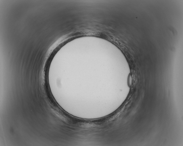 X0000113100246200909251037