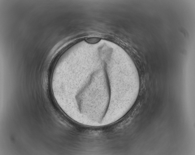 X0000113100247200909251037