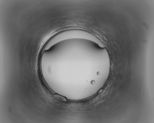X0000113100248200909251037