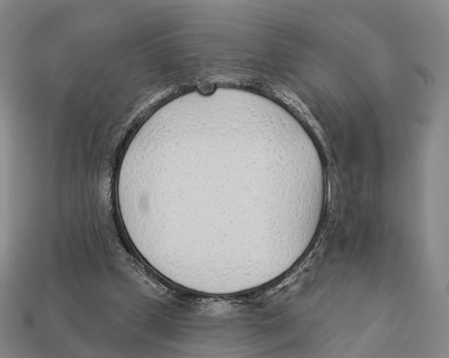 X0000113100249200909251037