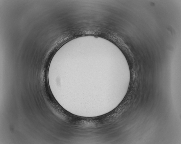 X0000113100250200909251037