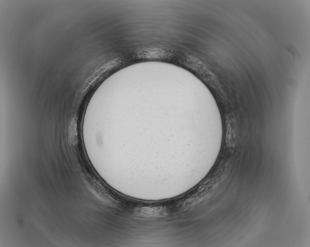 X0000113100251200909251037
